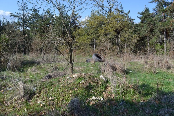 Младите дадоха пример в акцията за почистване на община Казанлък