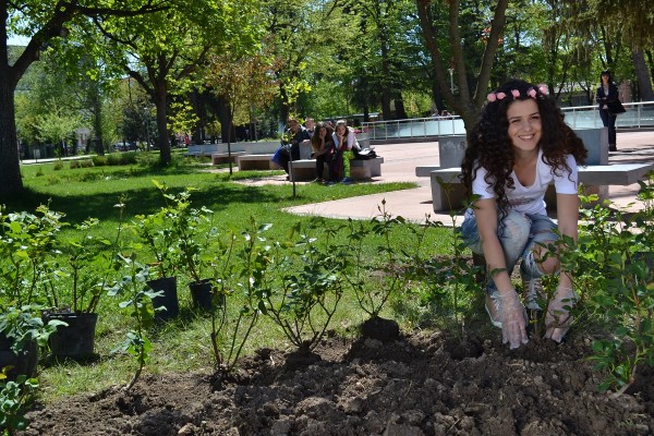 Кандидатките за Царица Роза 2017 започнаха засаждането на рози в Казанлък