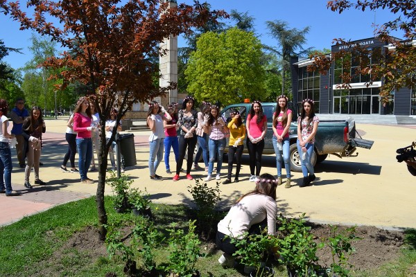 Кандидатките за Царица Роза 2017 започнаха засаждането на рози в Казанлък