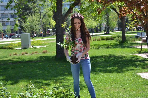 Кандидатките за Царица Роза 2017 започнаха засаждането на рози в Казанлък