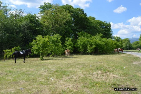 Лунапарк и пъстри дюкяни за Празника на розата, панаир - не
