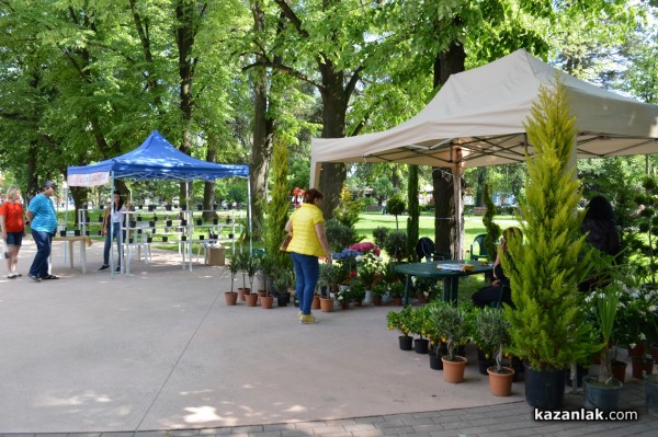 Лунапарк и пъстри дюкяни за Празника на розата, панаир - не