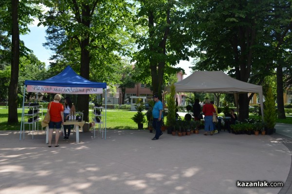 Лунапарк и пъстри дюкяни за Празника на розата, панаир - не