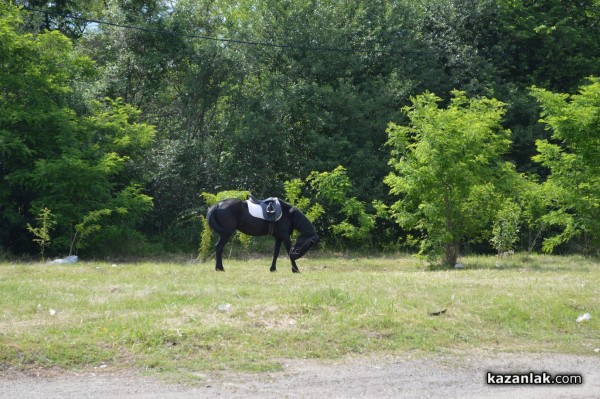Лунапарк и пъстри дюкяни за Празника на розата, панаир - не