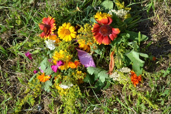 Казанлъчани отпразнуваха весело Еньовден