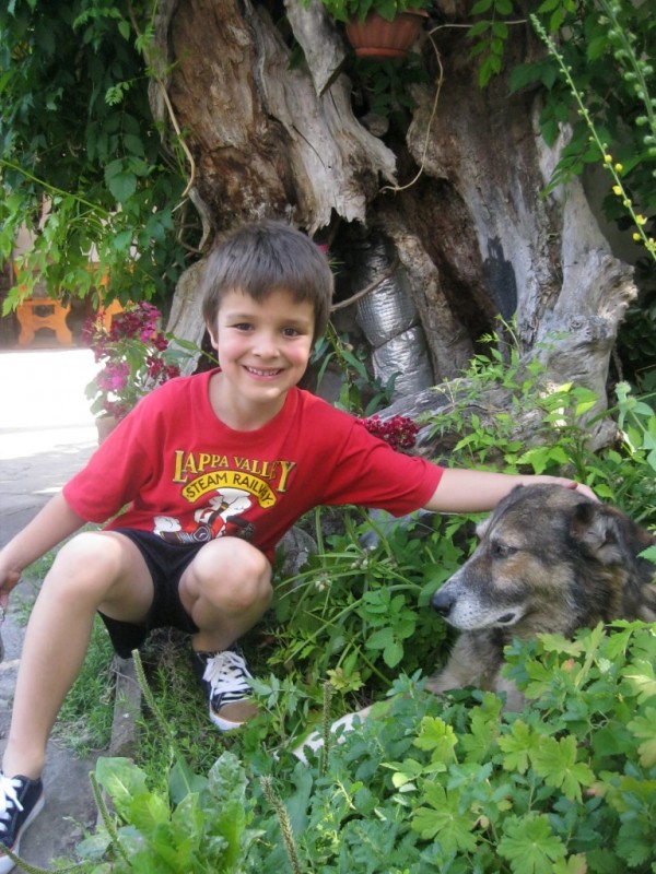 “Арт линия“ проведоха летен пленер за деца и родители