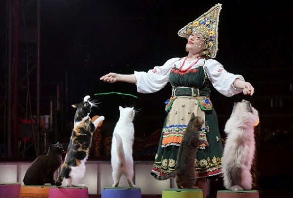 Цирк „Балкански” е в Казанлък до 2 юли