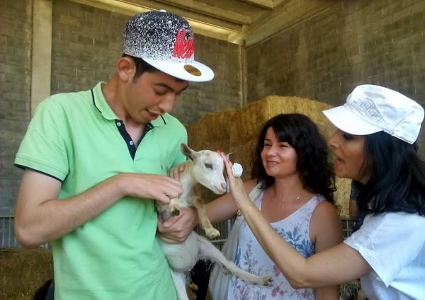 Младежи със затруднения от семейните къщички на фондация „Сийдър“ участваха в международен проект в Торино, Италия