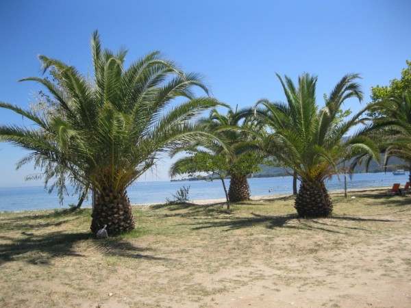 “Арт линия“ се завърнаха от пленер на остров Тасос