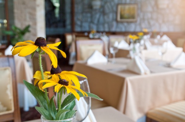 Прохладни вечери и кулинарни удоволствия в ресторант „Еделвайс“ на Бузлуджа