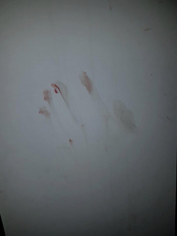 Полицията задържа един по един нападателите от снощния побой между цигани и българи в Дунавци