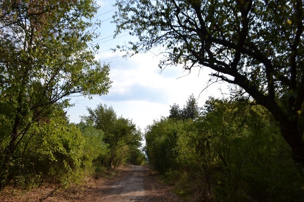 Влакчетата за туристически разходки завъртат колела