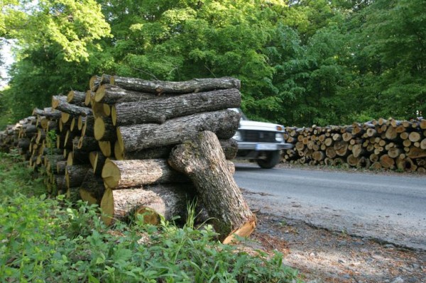Горските хванаха 50 кубика незаконни дърва в склад в Александрово / Новини от Казанлък