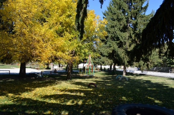 Кметът, който действа близо до хората е Нивелин Неделчев на с. Черганово