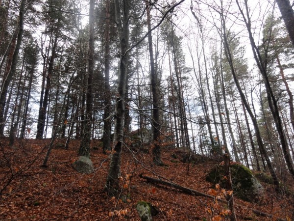 Казанлъшките туристи се завърнаха от есенната експедиция “Кошница 2017“