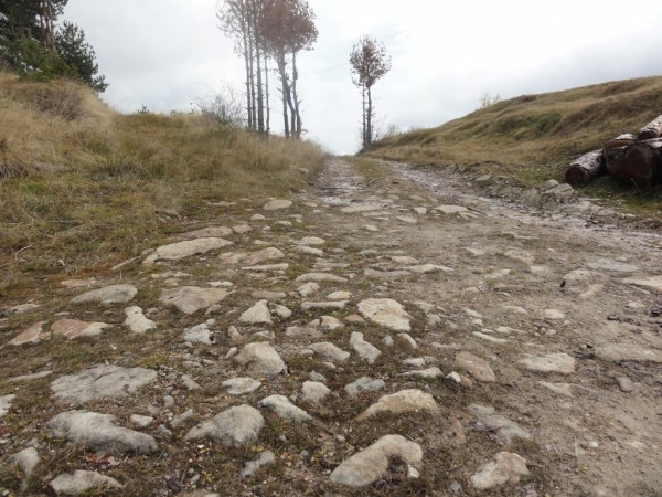 Казанлъшките туристи се завърнаха от есенната експедиция “Кошница 2017“