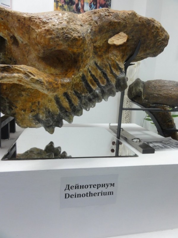 Казанлъшките туристи се завърнаха от есенната експедиция “Кошница 2017“