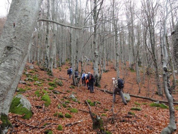 Казанлъшките туристи се завърнаха от есенната експедиция “Кошница 2017“