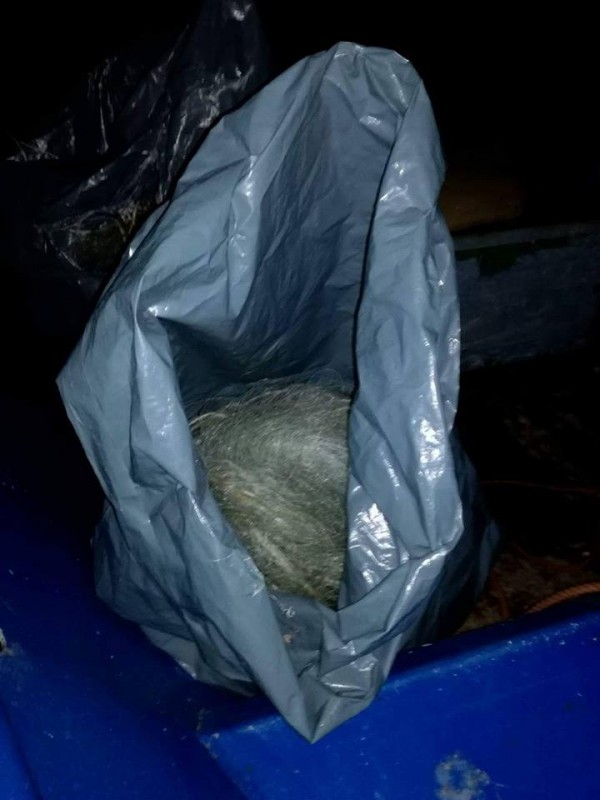 Извадиха 250 метра бракониерски мрежи на Копринка / Видео