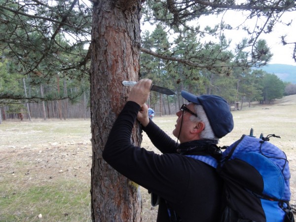 Зарезански  излет и  Ехо-Заразан