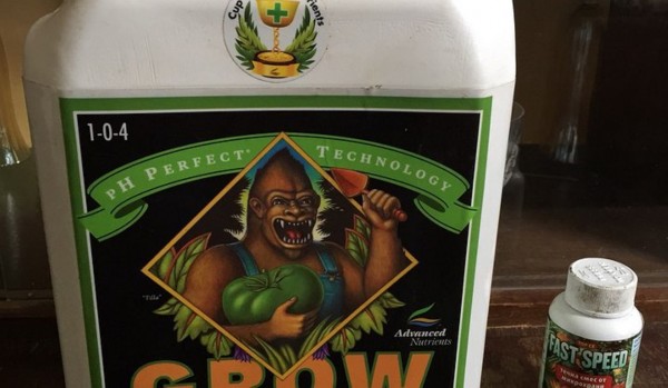 Обвинения за десетима след спецакцията вчера