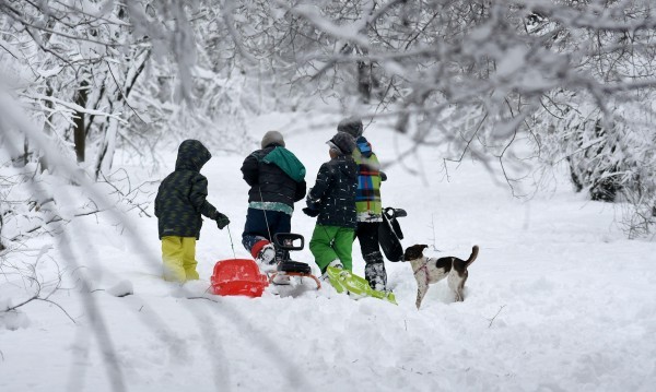 В община Павел баня излизат в дървена ваканция от утре / Новини от Казанлък