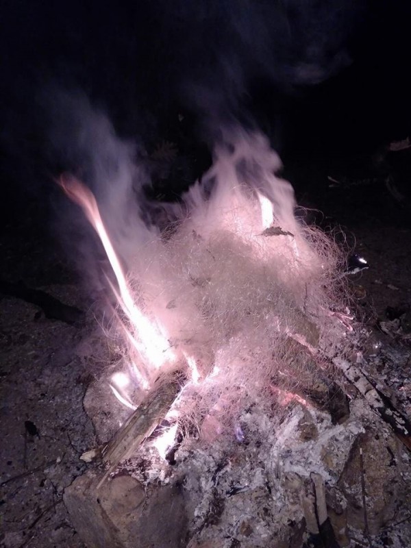 ЦРОО изгориха бракониерски мрежи на Копринка и Жребчево