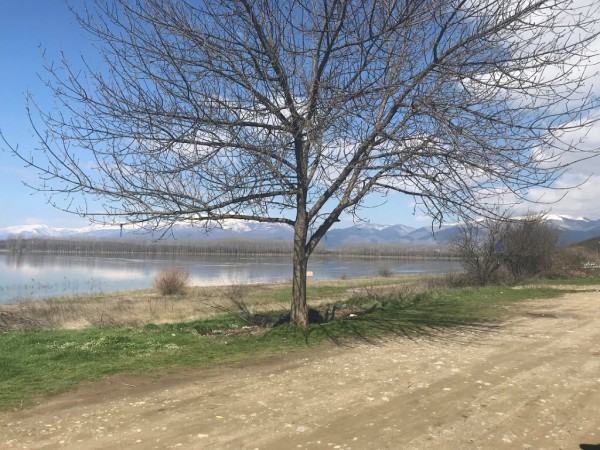 Малцина последваха призива на Общината „Да почистим  язовир „Копринка“