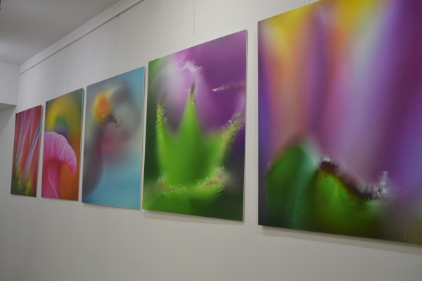 Царица Роза 2017 Цветелина Илиева подари на казанлъчани първата си самостоятелна изложб