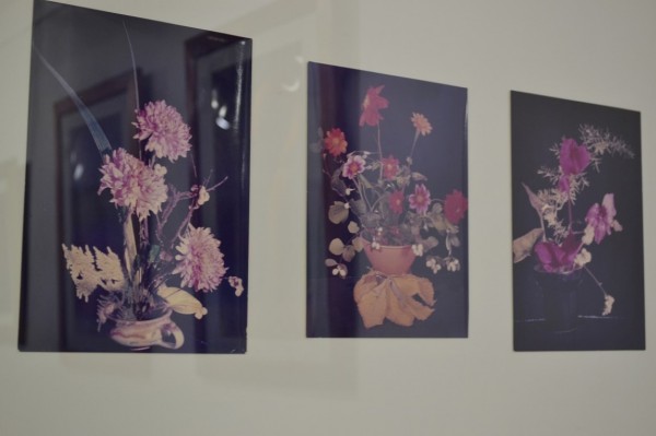 Царица Роза 2017 Цветелина Илиева подари на казанлъчани първата си самостоятелна изложб