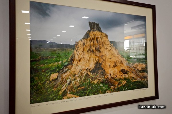 Александър Иванов с любов и тъга за гората