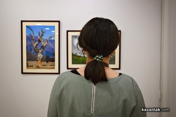 Александър Иванов с любов и тъга за гората