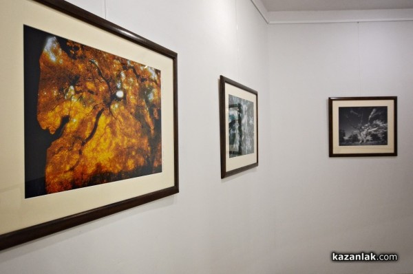 Александър Иванов с любов и тъга за гората