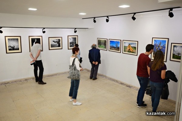 Александър Иванов с любов и тъга за гората