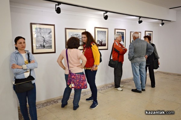 Александър Иванов с любов и тъга за гората