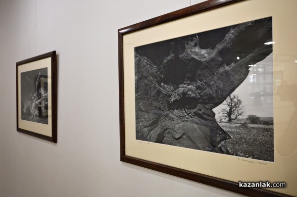 Александър Иванов с любов и тъга за гората