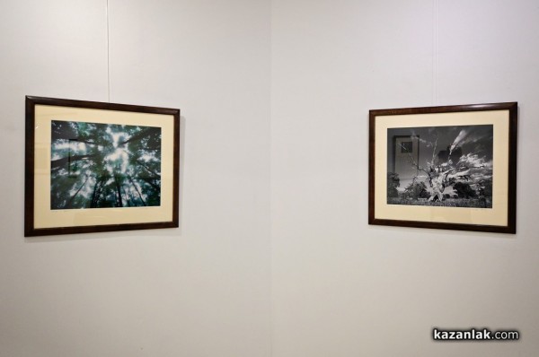 Александър Иванов с любов и тъга за гората