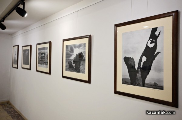 Александър Иванов с любов и тъга за гората