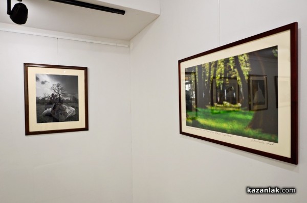 Александър Иванов с любов и тъга за гората