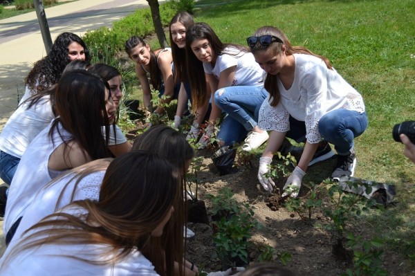 Кандидатките за Царица Роза 2018 засадиха рози