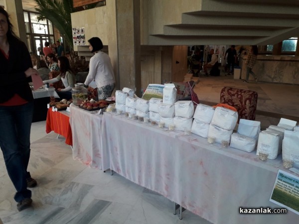 „Здравей,здраве!“ на теория и практика