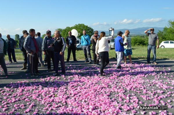 Розопроизводители от казанлъшко искат спешна намеса на държавата