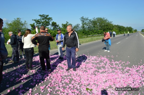 Розопроизводители от казанлъшко искат спешна намеса на държавата