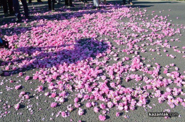 Розопроизводители от казанлъшко искат спешна намеса на държавата