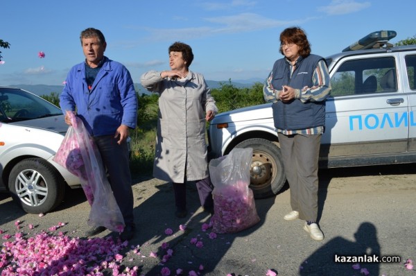 Розопроизводители от казанлъшко искат спешна намеса на държавата