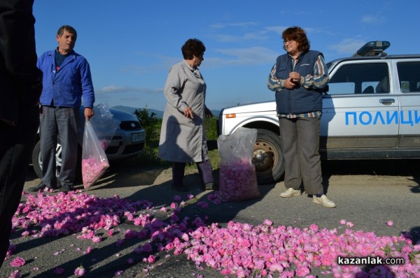 Розопроизводители от казанлъшко искат спешна намеса на държавата