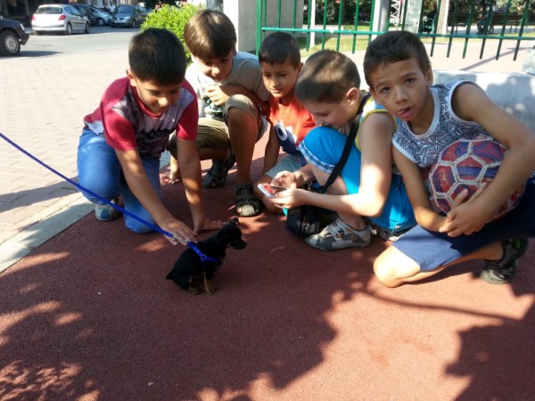 ИКТ Център предлага летни занимания и интересни курсове за деца през лятото