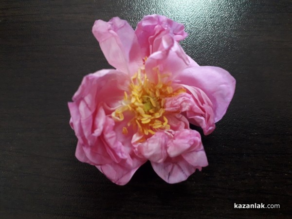 Много настроение и красота от Улицата на занаятите за празника / Новини от Казанлък