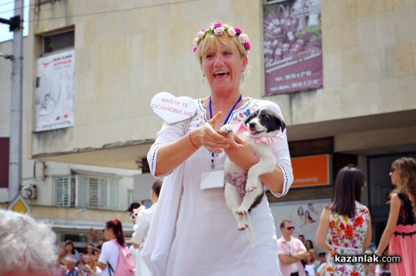 Фейсбук книжна борса в подкрепа на изоставени кучета