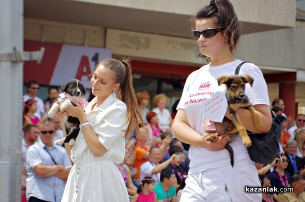 Фейсбук книжна борса в подкрепа на изоставени кучета